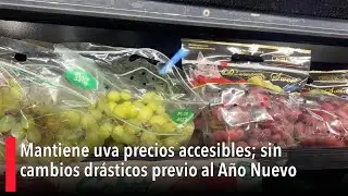Mantiene uva precios accesibles; sin cambios drásticos previo al Año Nuevo
