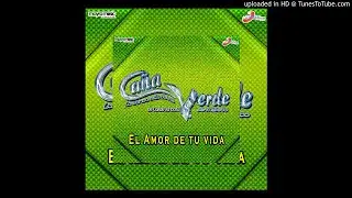 Banda Ca&ntilde;a Verde Carmen Bailera