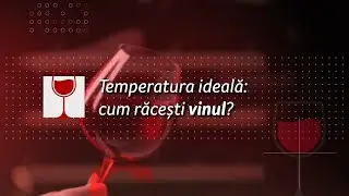 Wine Secrets - The Ideal Wine Temperature