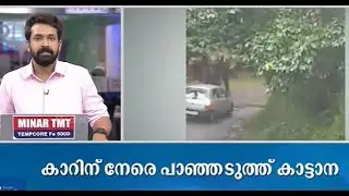നെല്ലിയാമ്പതിയില്&zwj; കാറിന് നേരെ കാട്ടാന പാഞ്ഞടുത്തു | Fast News | mediaone live