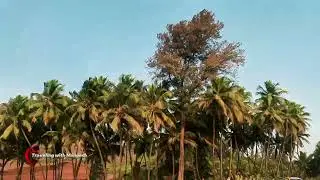कोकण 🥥🌴| Like | Share | Subscribe | #cycling #nature #pune #race #automobile #youtube #instagram #me