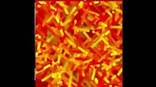 Artifact 4  - Firework's