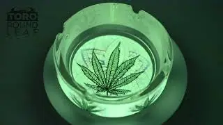 Scrumiera Glow in the Dark, Glass, Round (Leaf) / Toro
