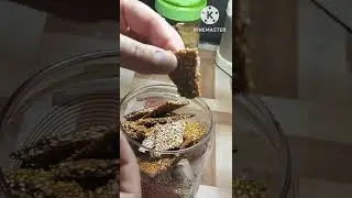 Winterspecial Till Chikki Recipe  Till Patti | Till Papdi #shorts #youtubeshorts #Fatin Life Style
