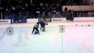 Texas Brahmas Hockey fight