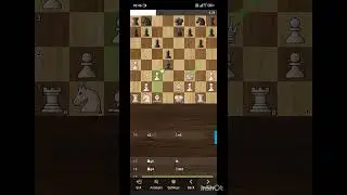 what is the name of this opening#chess openings