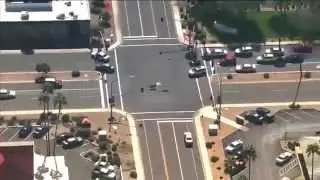 Llama Chase set to Yakety Sax