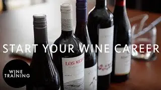 WSET Courses & Wine Training at the London Corinthia Hotel | Wine Training School