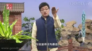 劉三講古~看重身體的價值