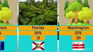 Forested Area in Every U.S. State | Percentage of Forest Cover by State (2025 Comparison)