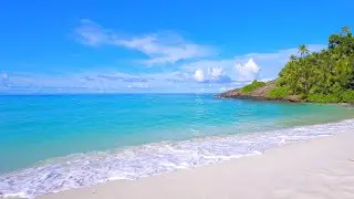 4K 60FPS Dolby Vision. 🏝 Pacific Island Paradise. Seychelles & Ocean Waves