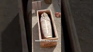 Pharaohs Didn&rsquo;t Die Alone 😧