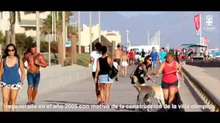 Playa el Toyo   Voz de Almería