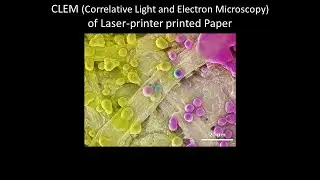[Materials] CLEM (Correlative Light and Electron Microscopy) of Laser-printer printed Paper