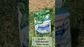 This Grass Seed Gave us a BEAUTIFUL front lawn! #founditonamazon #amazonfinds