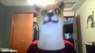 doge mask!!!!!