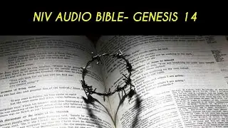 GENESIS 14 NIV AUDIO BIBLE (with text)