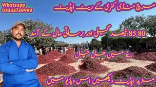 14 January 2026 Wednesday Kunri Mirchi Mandi Price update HybridMirch RechSterLongi LongiMirch 