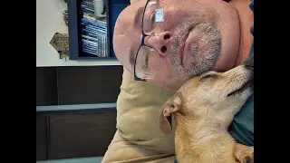 Thanksgiving Update: How Your Support Paid Spaz's Vet Bill & My Remicade