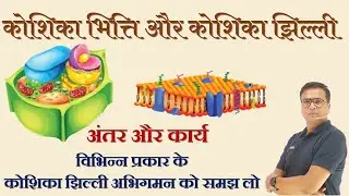 PHYSICAL EDUCATION | RAJASTHAN PTI , EMRS  ,UP TGT |  5000 mcq series28 #physicaleducation