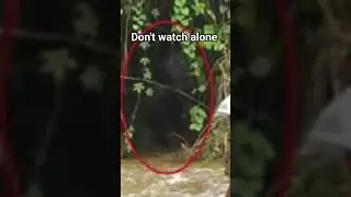 hidden ghost pictures watch if you can #real #horror #viral #ghostpictures