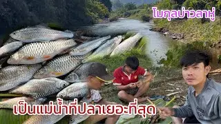 เพิ่งเคยมาครั้งแรกว่ากันว่ามีปลาเยอะที่สุด แต่สิ่งนี้กำลังจะหายไปเพราะ? #มายโมกุล #ปลา 