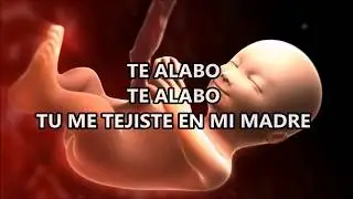 Tu me tejiste en el vientre de mi madre (letra)