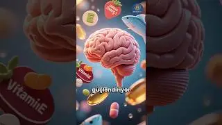 Beyin Her Yıl K&uuml;&ccedil;&uuml;l&uuml;yor mu? 🧠