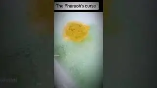 мемы с дискорда -  
