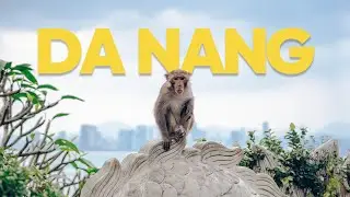 Des singes et des temples, vlog &agrave; Da Nang 🇻🇳 | MAD