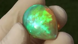 47,55ct Huge drop shape dark gem opal with crazy bright broadflesh and chaff pattern