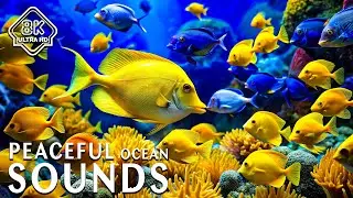 Blue Serenity 8K &ndash; Peaceful Ocean Scenes with Soothing Sounds for Relaxation & Sleep
