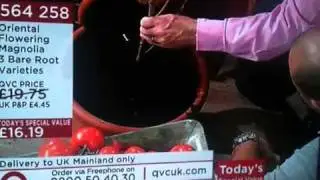 Richard jackson how to plant magnolia bare roots