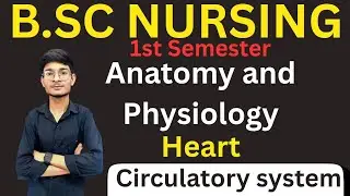 Cardiovascular system |Anatomy and physiology |By Vaibhav Tailor 