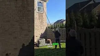 Spotless Windows: Our Ultimate Window Cleaning Technique