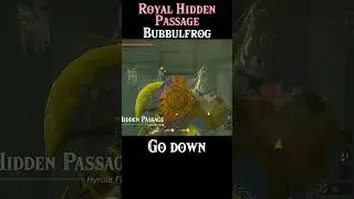 Where To Find Royal Hidden Passage Bubbulfrog | #Zelda Tears of the Kingdom #totk