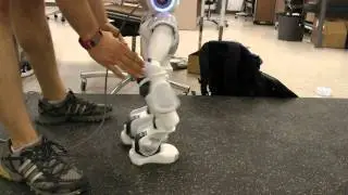 AMBER Lab - NAO - 11.07.29-21.07.25 type 2 stiff
