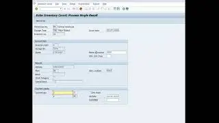 SAP LI11N Enter Inventory Count