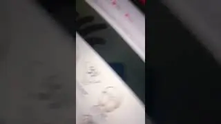 eresidae&iquest;