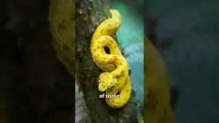 When a snake bite you #anatomy #science #biology #doctor #mechanism #neet #amazingfacts #education