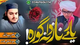 دستار بندی نظم ،،،۔ آواز: نصیب اللّٰه جانان ،،،،،۔  شاعر : جواد علی فداء 