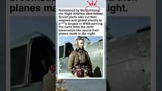 The Night Witches: Female Soviet Pilots Who Glided Silently to Bo*b Nazis #shorts #facts #history