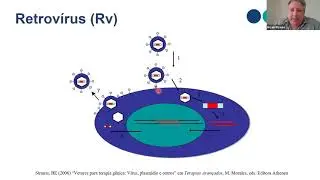 3.1 Vetores Virais