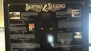 Predators of The Big Thicket