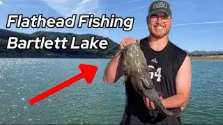 Bank Fishing for Flathead Catfish! (Bartlett Lake, AZ)