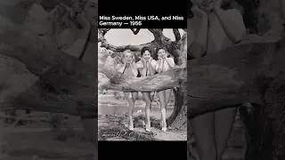 Winners of Miss Universe 1956