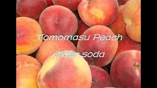Fat bastard reviews: Tomomasu Peach Cider soda