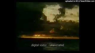 digital visitor - unanimated