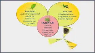 Punch Tulsi