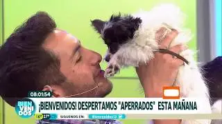 ¡Cachorros inundaron de ternura nuestro estudio! | Bienvenidos